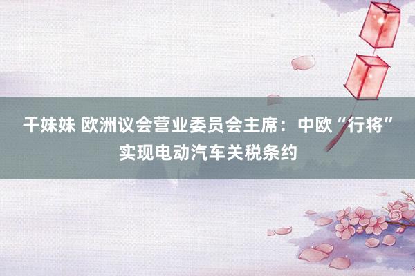 干妹妹 欧洲议会营业委员会主席：中欧“行将”实现电动汽车关税条约