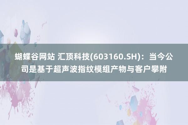 蝴蝶谷网站 汇顶科技(603160.SH)：当今公司是基于超声波指纹模组产物与客户攀附