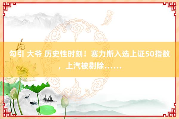 勾引 大爷 历史性时刻！赛力斯入选上证50指数，上汽被剔除……