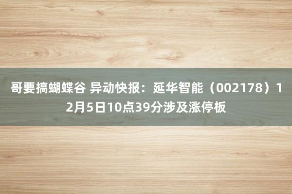 哥要搞蝴蝶谷 异动快报：延华智能（002178）12月5日10点39分涉及涨停板