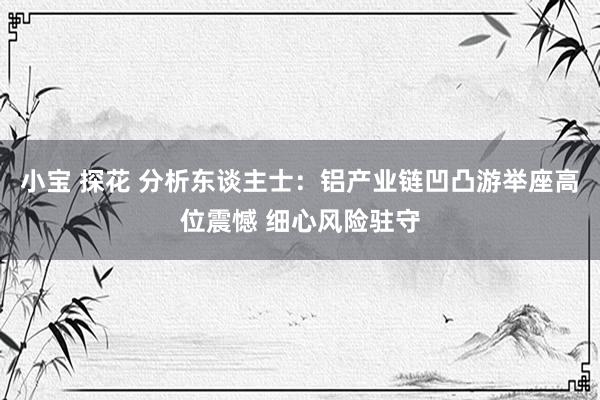 小宝 探花 分析东谈主士：铝产业链凹凸游举座高位震憾 细心风险驻守