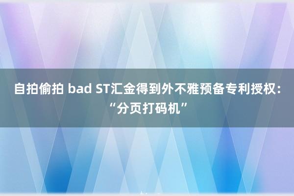 自拍偷拍 bad ST汇金得到外不雅预备专利授权：“分页打码机”