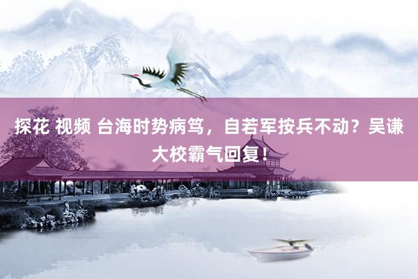 探花 视频 台海时势病笃，自若军按兵不动？吴谦大校霸气回复！