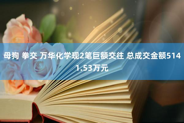 母狗 拳交 万华化学现2笔巨额交往 总成交金额5141.53万元