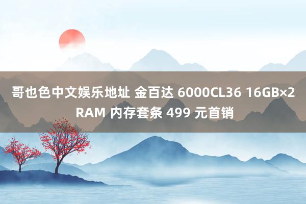 哥也色中文娱乐地址 金百达 6000CL36 16GB×2 RAM 内存套条 499 元首销