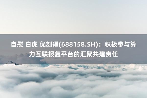 自慰 白虎 优刻得(688158.SH)：积极参与算力互联报复平台的汇聚共建责任