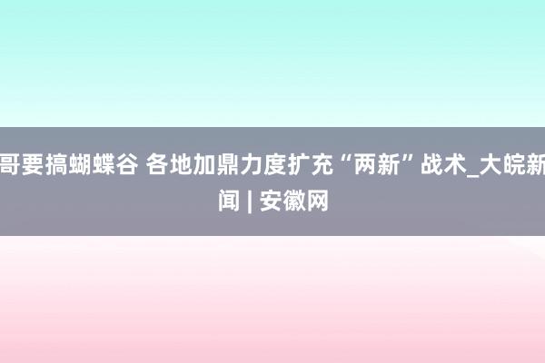 哥要搞蝴蝶谷 各地加鼎力度扩充“两新”战术_大皖新闻 | 安徽网