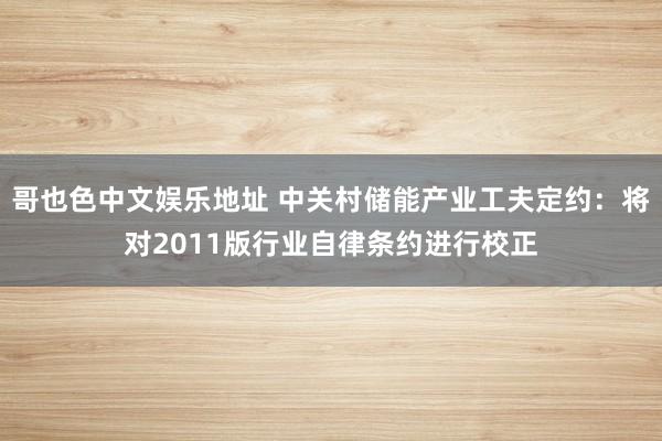 哥也色中文娱乐地址 中关村储能产业工夫定约：将对2011版行业自律条约进行校正