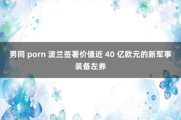 男同 porn 波兰签署价值近 40 亿欧元的新军事装备左券