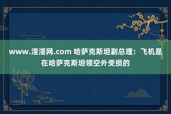 www.淫淫网.com 哈萨克斯坦副总理：飞机是在哈萨克斯坦领空外受损的