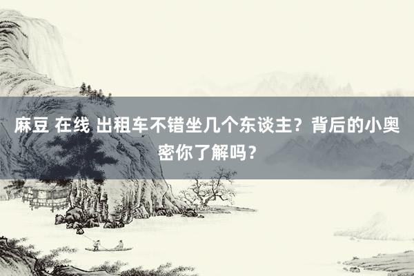 麻豆 在线 出租车不错坐几个东谈主？背后的小奥密你了解吗？