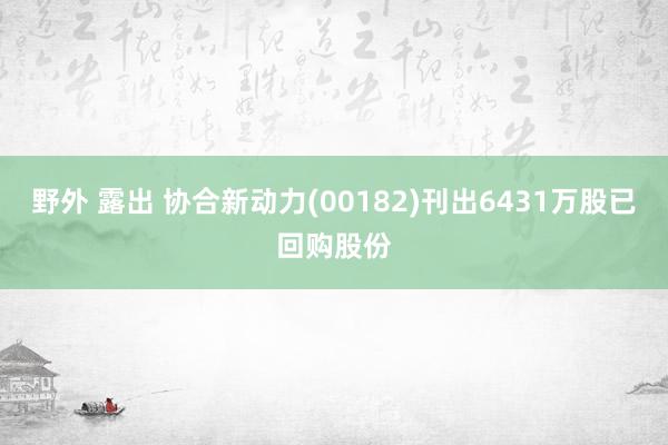 野外 露出 协合新动力(00182)刊出6431万股已回购股份