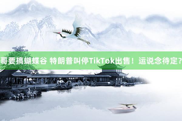 哥要搞蝴蝶谷 特朗普叫停TikTok出售！运说念待定？