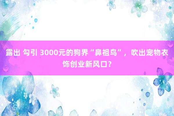 露出 勾引 3000元的狗界“鼻祖鸟”，吹出宠物衣饰创业新风口？