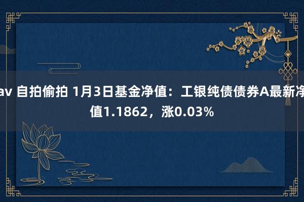 av 自拍偷拍 1月3日基金净值：工银纯债债券A最新净值1.1862，涨0.03%