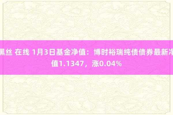 黑丝 在线 1月3日基金净值：博时裕瑞纯债债券最新净值1.1347，涨0.04%