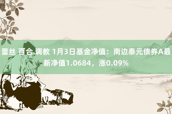 蕾丝 百合 调教 1月3日基金净值：南边泰元债券A最新净值1.0684，涨0.09%