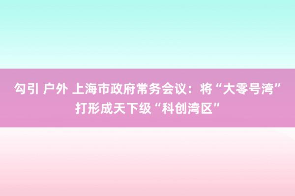 勾引 户外 上海市政府常务会议：将“大零号湾”打形成天下级“科创湾区”