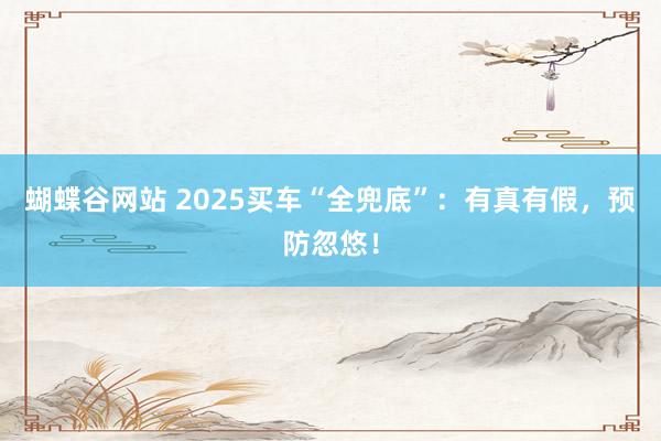 蝴蝶谷网站 2025买车“全兜底”：有真有假，预防忽悠！