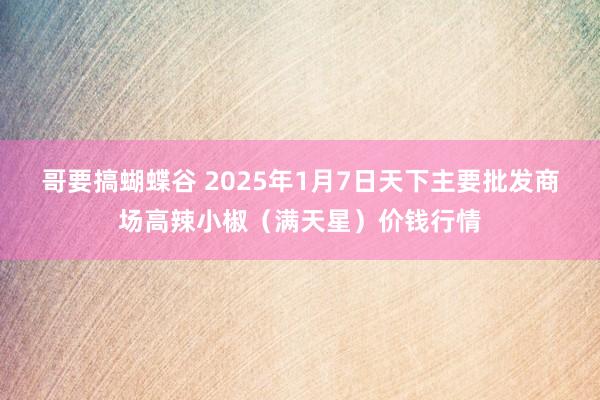 哥要搞蝴蝶谷 2025年1月7日天下主要批发商场高辣小椒（满天星）价钱行情