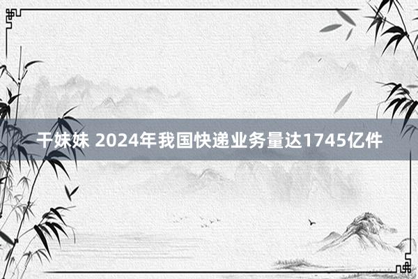 干妹妹 2024年我国快递业务量达1745亿件