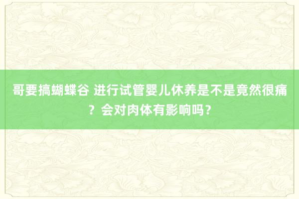 哥要搞蝴蝶谷 进行试管婴儿休养是不是竟然很痛？会对肉体有影响吗？