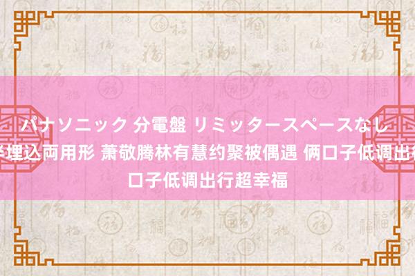 パナソニック 分電盤 リミッタースペースなし 露出・半埋込両用形 萧敬腾林有慧约聚被偶遇 俩口子低调出行超幸福