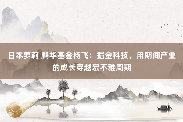日本萝莉 鹏华基金杨飞：掘金科技，用期间产业的成长穿越宏不雅周期