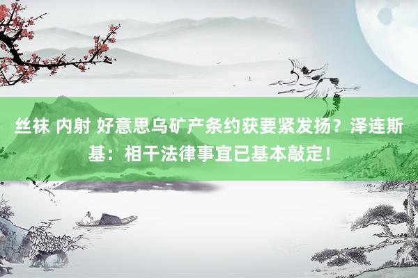 丝袜 内射 好意思乌矿产条约获要紧发扬？泽连斯基：相干法律事宜已基本敲定！